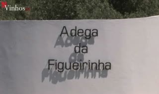 Monte Novo e Figueirinha