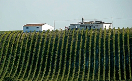 Herdade Monte Capela