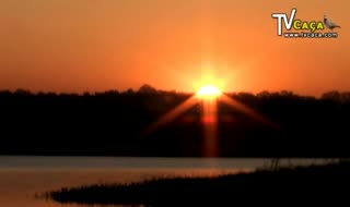 Um dia de caça aos patos na Herdade da 