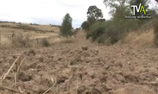 Área ardida e número de incêndios aumentou no distrito de Beja