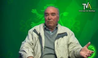 José Henriques Presidente do Núcleo do Sporting de Beja